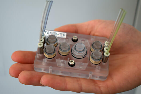 Multi-Organ-Chip