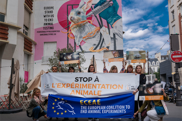 Save Cruelty Free Cosmetics